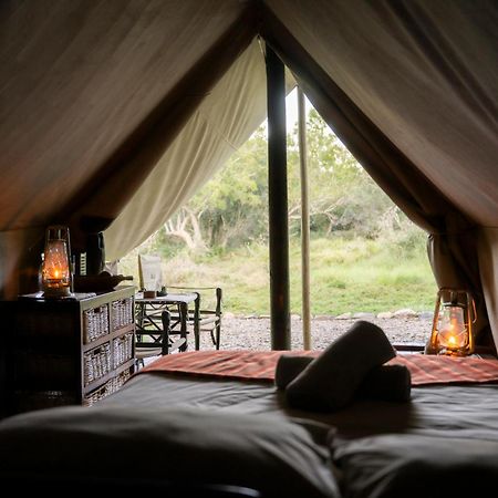 Quatermain'S 1920'S Safari Camp - محمية أماخالا الطبيعية المظهر الخارجي الصورة