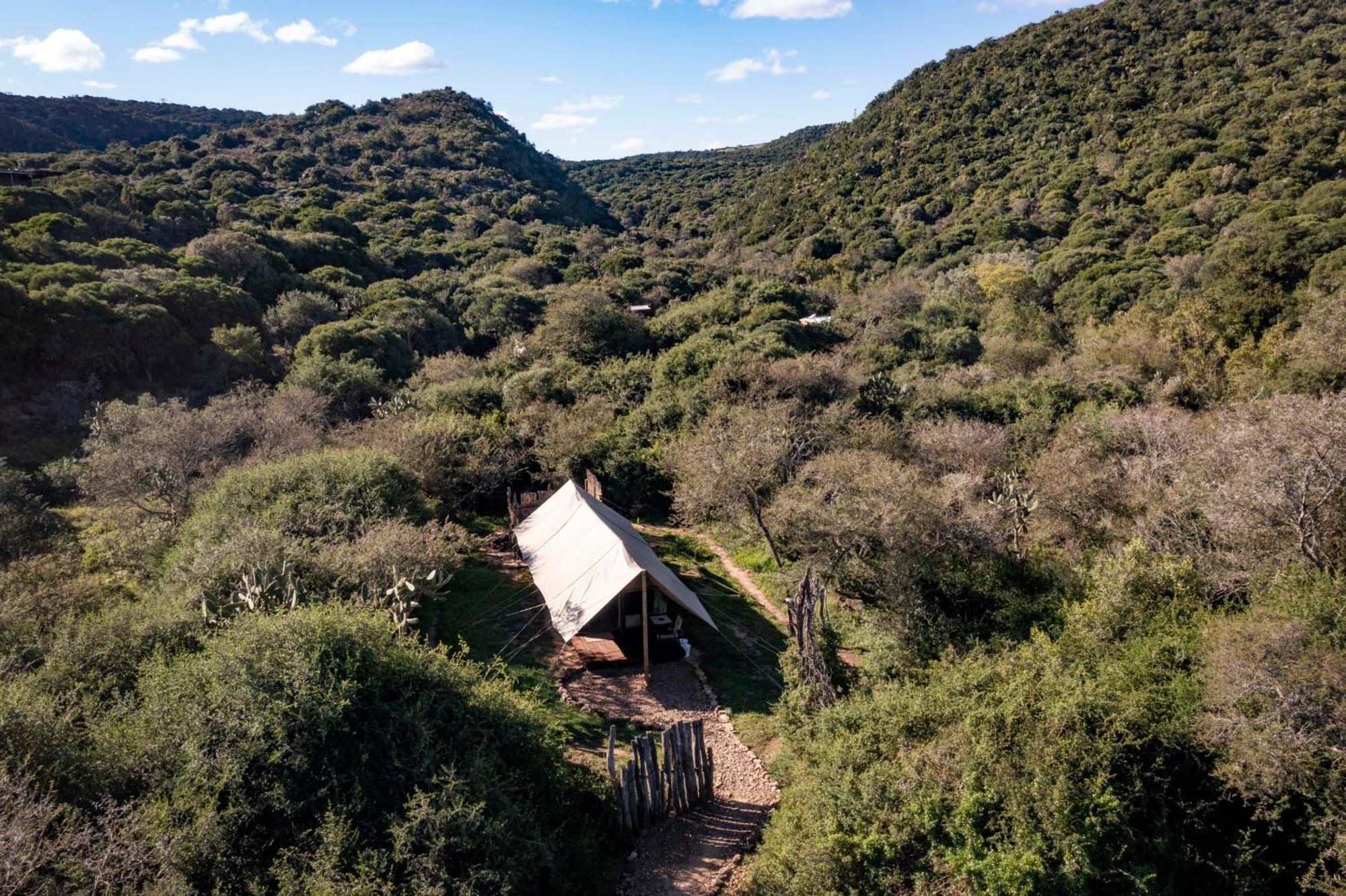 Quatermain'S 1920'S Safari Camp - محمية أماخالا الطبيعية المظهر الخارجي الصورة
